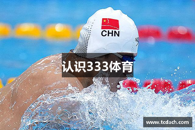 认识333体育